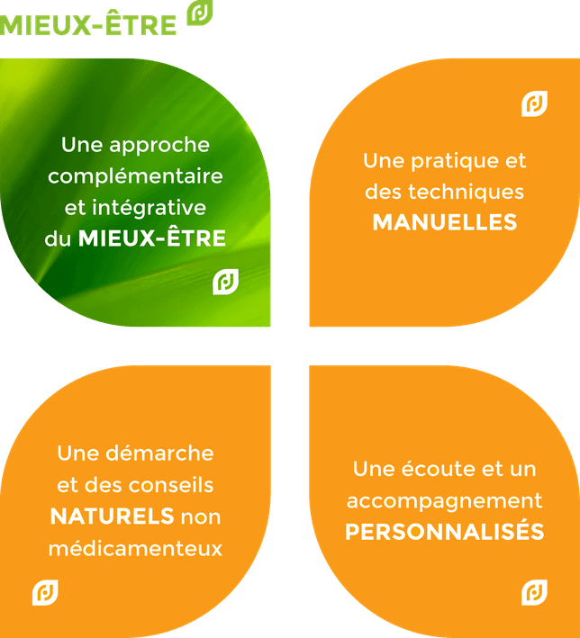 Microkinésie, Naturopathie, Micronutrition et Exercice physique — les 4 piliers du mieux-être chez Micro Naturo